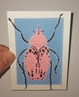 ACEO Original beetle insect bug Acrylic painting.
