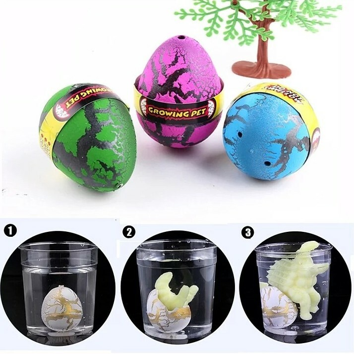 Lot De 24 Œufs Dinosaure Magiques à Éclore Dans L'Eau - Hatching Dinosaur Egg