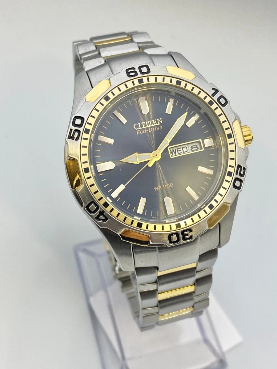 Citizen Eco Drive WR 200 SS