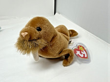Collectible Ty Beanie Baby Paul the Brown Walrus DOB February 23, 1999 Plush