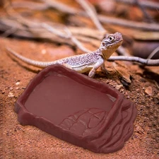 Reptile Ramp Food Bowl Feeder Habitat Feeding Plate Anti Slip Terrarium for