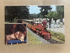 Postcard St Louis MO Missouri Zooline Miniature Railroad Train Forest Park Zoo