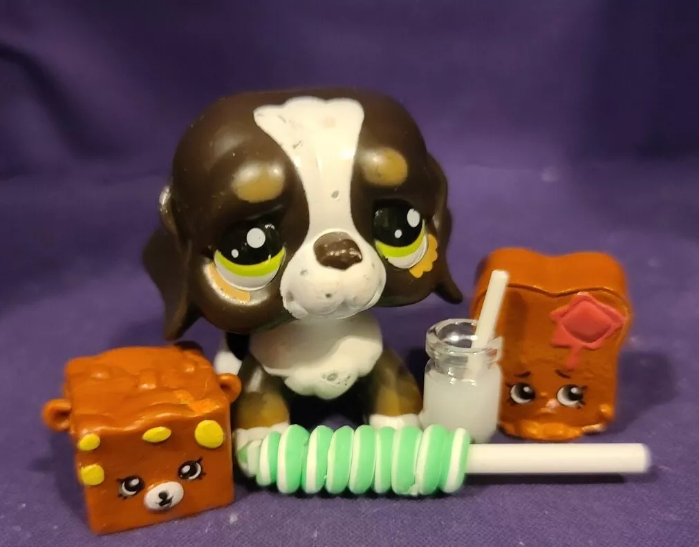 Saint top bernard accessories