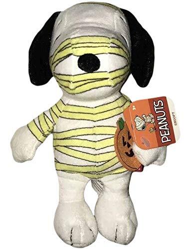 teacup bear face pomeranian