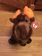 TY BEANIE BUDDY CHOCOLATE - ELCH MIT ETIKETT - NICHT MEHR ERH&Auml;LTLICH