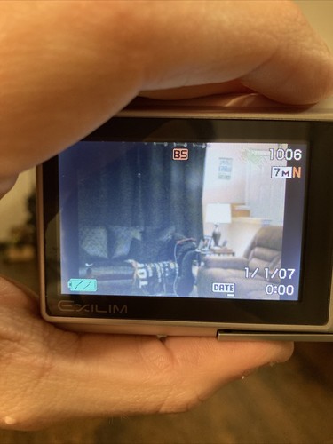 Casio EXILIM ZOOM EX-Z77 7.2MP Digital Camera - Silver - W/Original Box..+Others - Picture 21 of 23