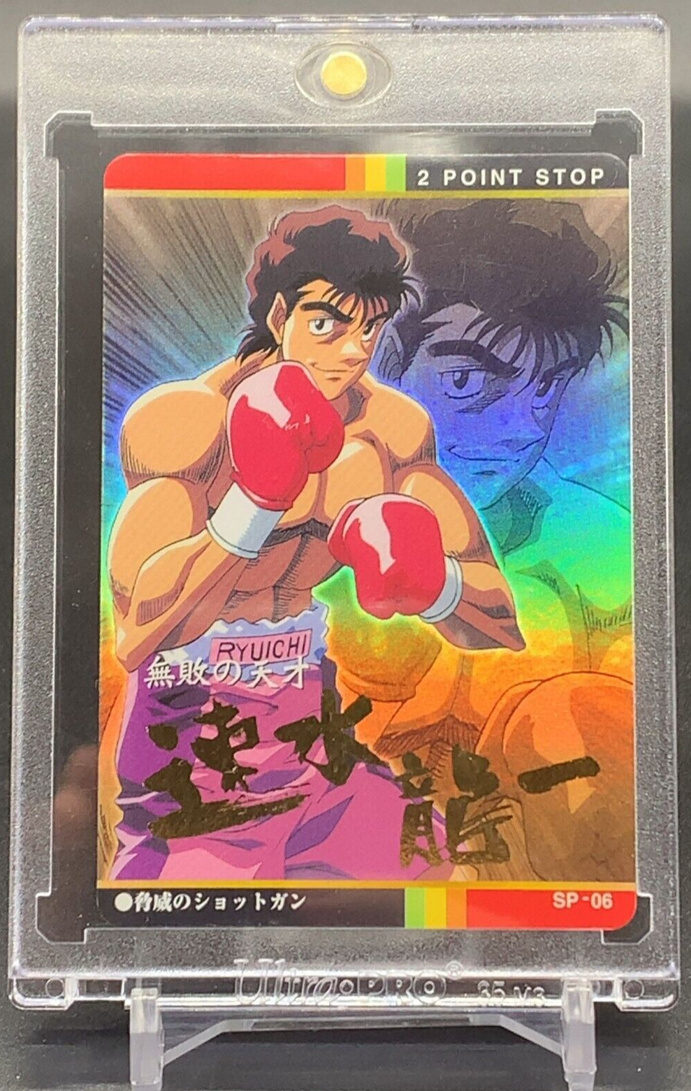 Ryūichi Hayami, Wiki Ippo