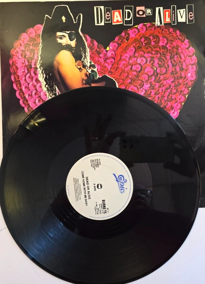Dead Or Alive – Come Home With Me Baby 12" vinyl record 1989 in picture sleeve - Image 2 of 4