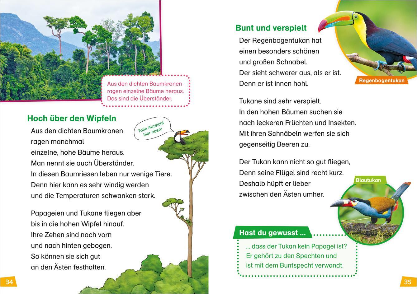 Thumbnail - Was Ist Was Erstes Lesen Band 15. Regenwald - Christina Brau ...