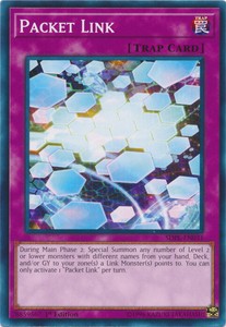 Packet Link - SDPL-EN031 - Common - 1st Edition x3 - Near Mint