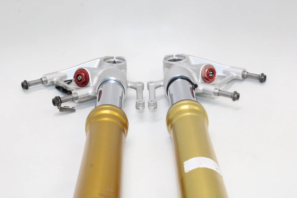 BMW S1000RR 2010 OEM HORQUILLAS DELANTERAS JUEGO SUSPENSIÓN AMORTIGUADOR PAR Foto 3 de 4