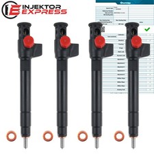 4x 9674984080 Einspritzdüse Citroen Ford Peugeot 2.0HDi Delphi Injektör 28388960