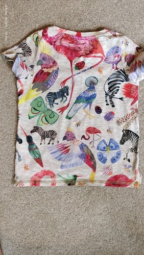Paquete Para Niñas, Pantalones Cortos, Camiseta, Jersey - Imagen 4 de 11