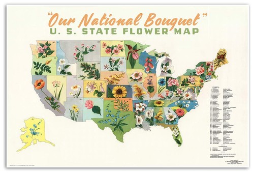 United States USA State Flower Floral MAP Our National Bouquet circa 1911 24x36