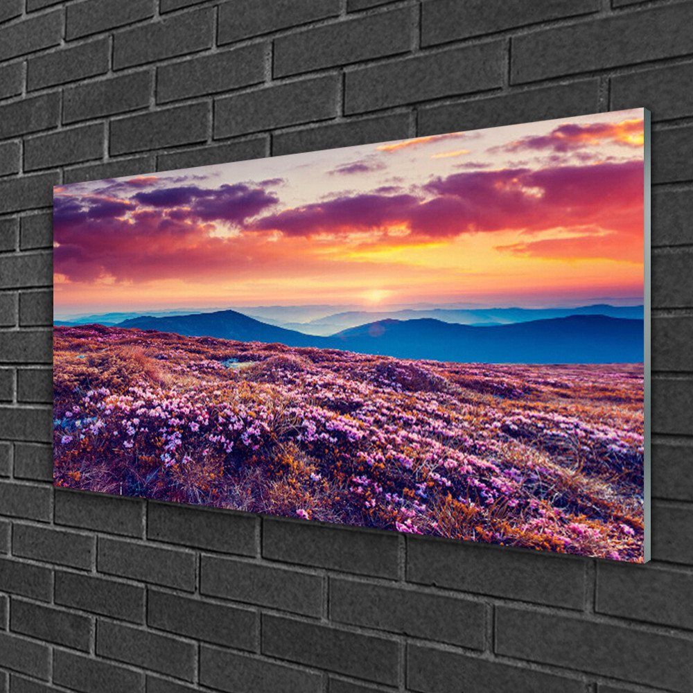 Tableau sur verre de luxe 100x50 cm avec panorama de montagnes et fleurs sauvages