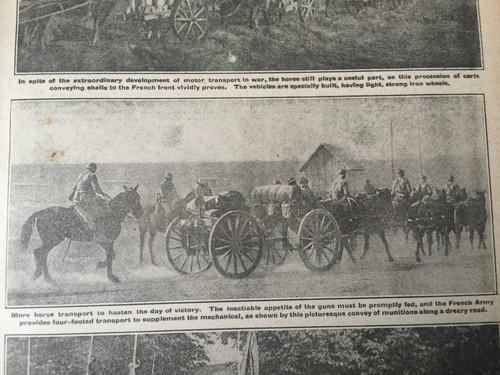 Antiker Druck Der Krieg Illustrierte Fine Art Blüht in Kriegsfeldern 1917 - Bild 8 von 9