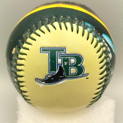 Tampa Bay Rays Tropicana Field Florida FOTOBALL Embossed Souvenir