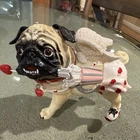 Westland Gifts Pugnacious Pug-nacious Cupid valentine Love Pug — Rare Retired