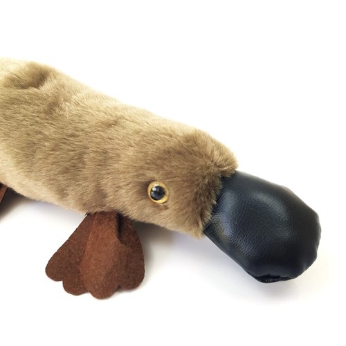 Australia Platypus Animal Soft Stuffed Plush Toy 21cm Australian Souvenir Brown - Picture 4 of 5