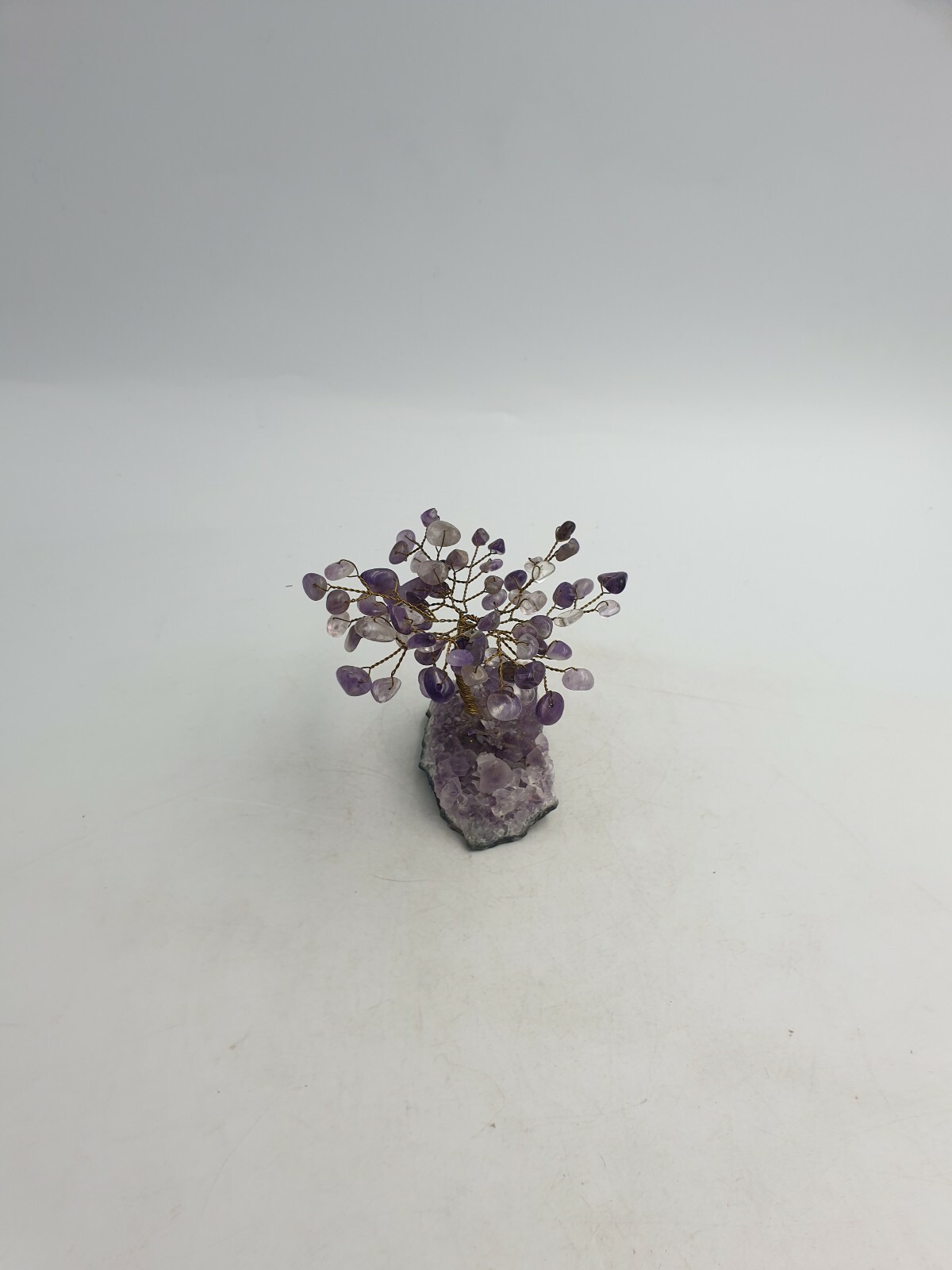 Picture 5 of 12