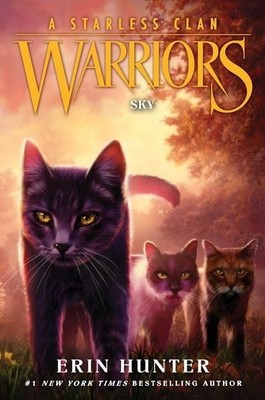 Warriors: A Starless Clan 02: Sky Sky