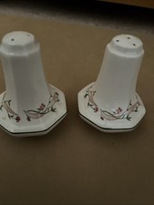 Pair Of Eternal Beau Salt And Pepper Shaker Cruet Set