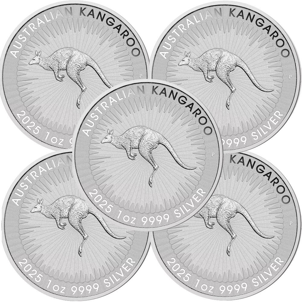 コアラ 1988 Australia 1/4 oz Platinum Koala BU - Walmart.com