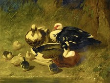 MUSCOVY DUCKS AND DUCKLINGS Tile Mural Bathroom Wall Backsplash Marble Ceramic