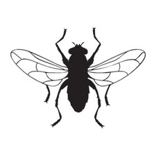 Black Fly Insect Bug - Vinyl Decal Sticker - Multiple Colors  Sizes - ebn2892