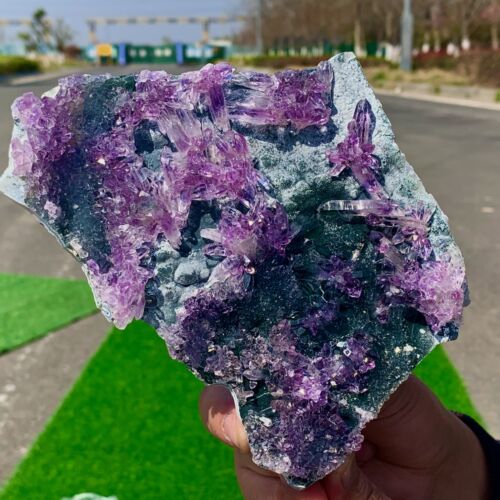 310G Natural Vision Amatista Cuarzo Racimo Cristal Mineral Espécimen Curación - Imagen 17 de 23
