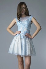 Sequined Lace Cap Sleeve Cocktail Dress
