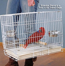 Durable Easy Portable Metal Travel or Veterinary Collapsable Parrot Bird Carrier