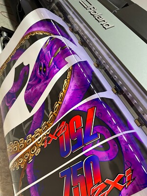 KAWASAKI 1100 / 900/ 750 ZXI JETSKI GRAPHIC SET / KIT DECAL