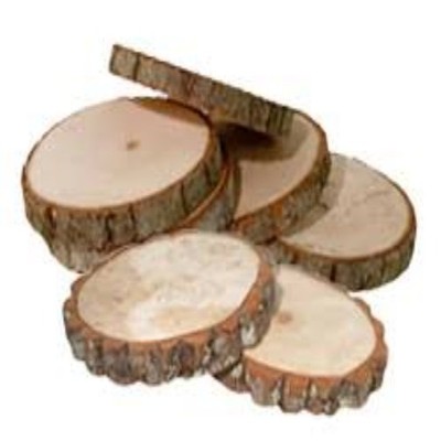 5 Pcs Natural Wood Slices 5-6Inches Unfinished Wood Craft Kit Round Discs srilan