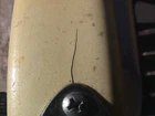 Picture 23 of 24
