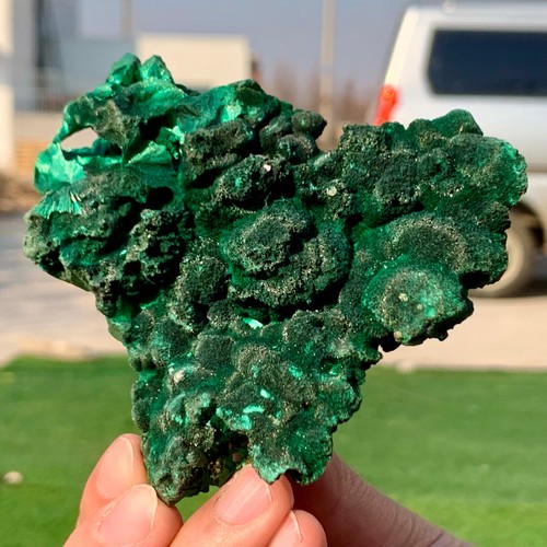 197G Natural tortoise Malachite transparent cluster coarse mineral sample - 第 9/24 張圖片