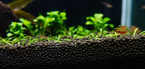 buy aquarium gravel
