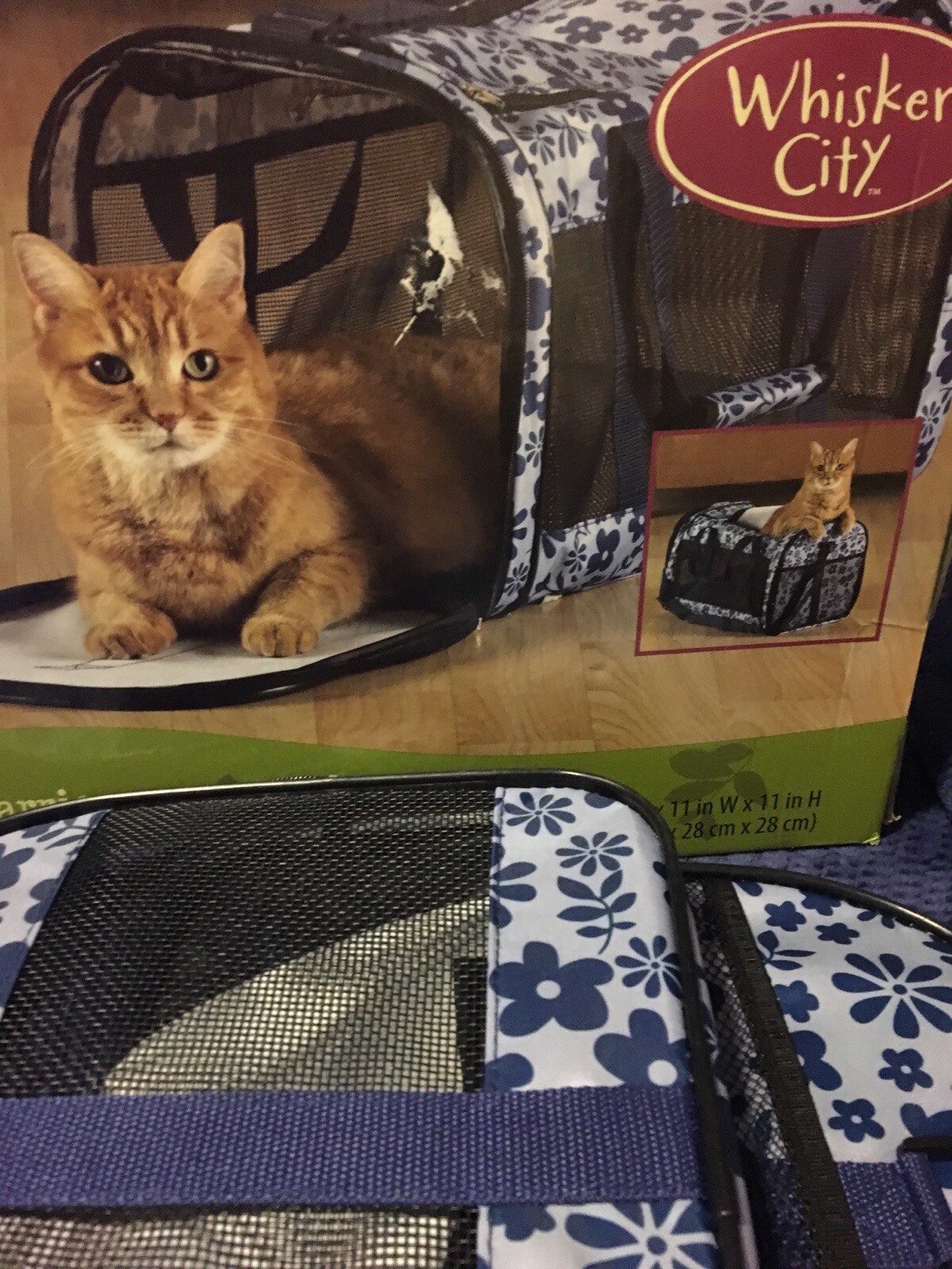 whisker city soft sided cat carrier