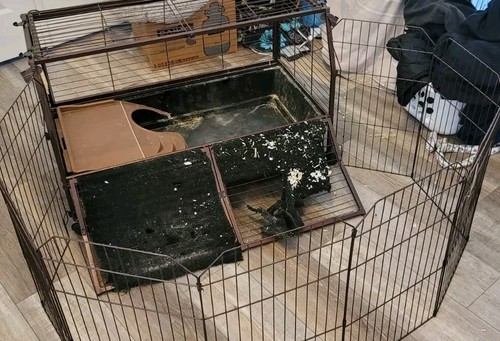 Large Rabbit Bunny Pet Home Cage With Fenced In Play Area Water Bottle Hutch