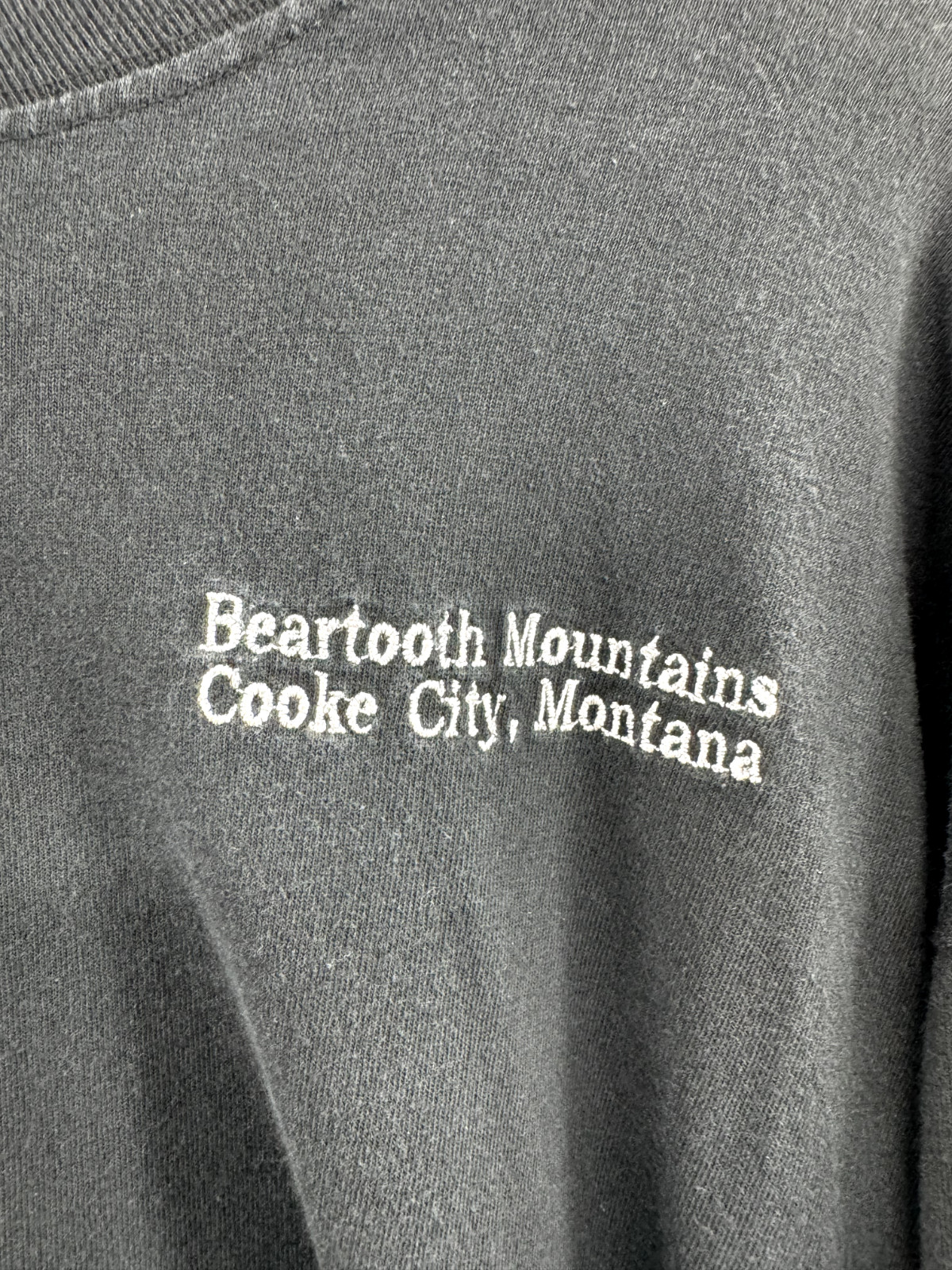 Vintage Beartooth Mountains Flames Motorcycle Shi… - image 3