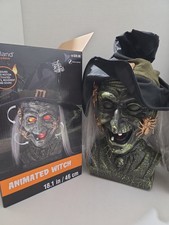 Animated Witch Ashland Halloween Lights Sound Movement