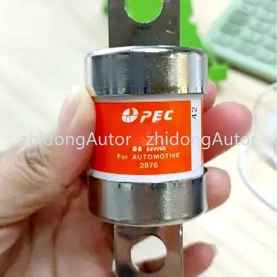NEW 1PC for PEC 300A DC450V BC6000A Energy High Voltage Automotive Fuse #ZD