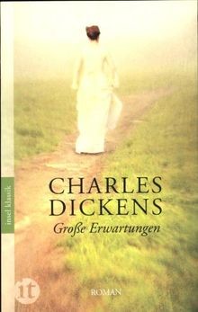 Große Erwartungen: Roman (insel taschenbuch) von ... | Buch | Zustand akzeptabel