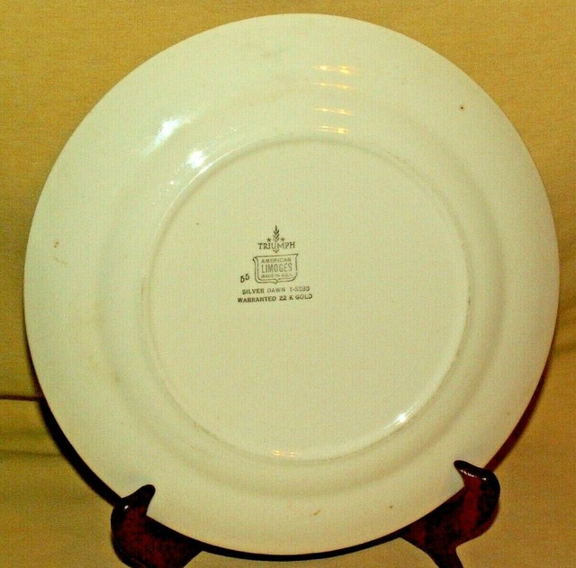 ROSE PLATE AMERICAN LIMOGES WHITE GOLD TRIM TRIUMPH SILVER DAWN T5280