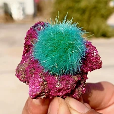 50 - 80G Rare Indian Dandelion Quartz Zeolite Quartz Energy Healing Magical Gift