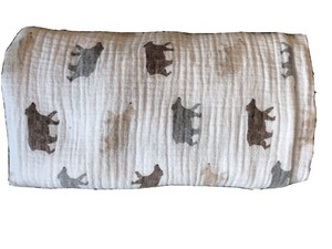 aden and anais bear necessities