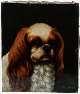 Albert Haug - 1908 Öl, Cavalier King Charles Spaniel