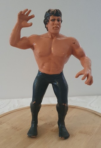 Ricky The Dragon Steamboat WWF LJN Titan Sports 19...