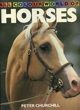 All Colour World of Horses