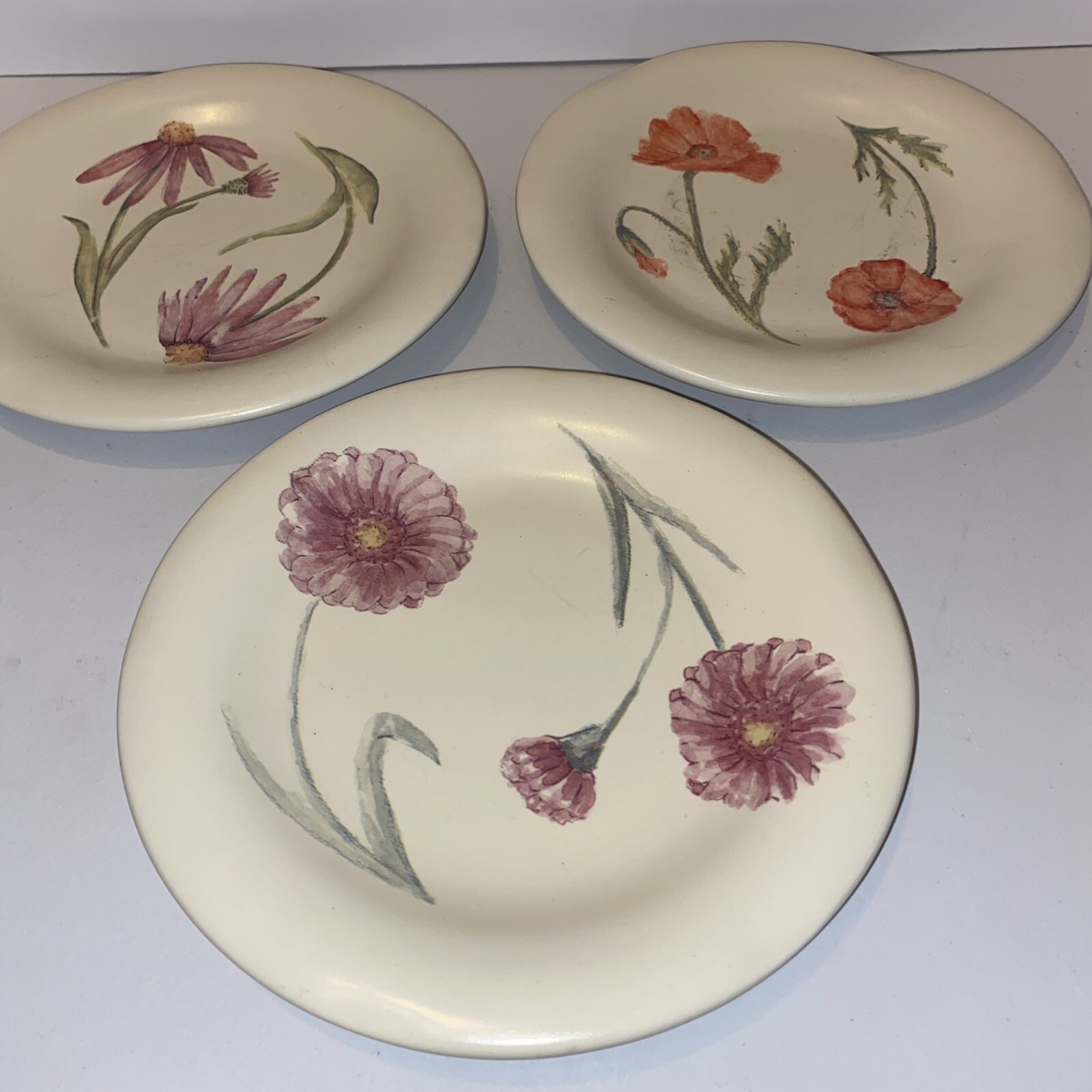 Sonoma Home Goods In the Garden Cream Floral Salad Plates  